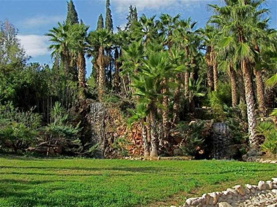 Novelda Centro Habitaciones Con Bano Privado Y Compartido , Cocina Y Terraza Dış mekan fotoğraf